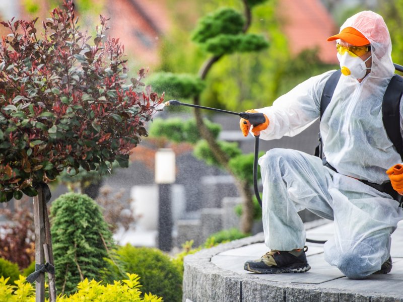 Gümüşpala Haşere İlaçlama